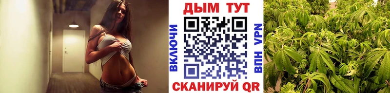 Конопля VHQ  Черногорск 